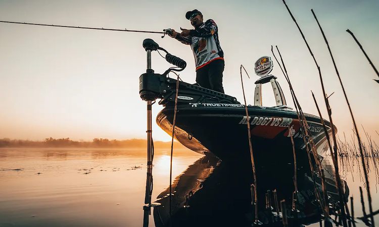 Power Pole Move ZR 23copy